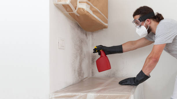 Professional Bathroom Mold Removal technician working in Hudgins, VA