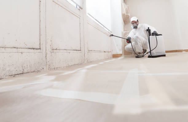 24/7 Emergency Bathroom Mold Removal experts in Hudgins, VA
