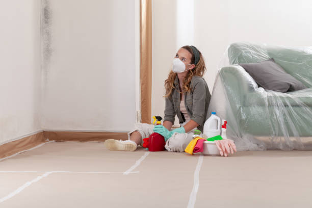 Reliable Bathroom Mold Removal contractor in Hudgins, VA by 24 Hour Mold Removal